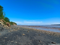 67005RoCrLe - Walking on the shale and slate on Blue Beach at low tide, Hantsport, NS.jpg